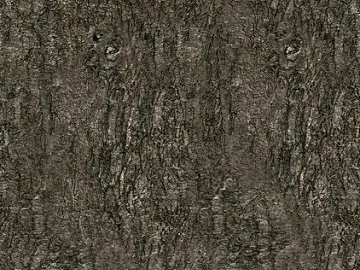 bark texture (ID:ffaag09610)