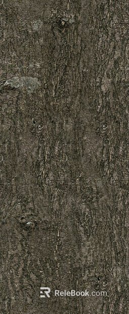 bark texture