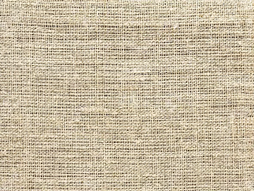 Coarse carpet 3d model