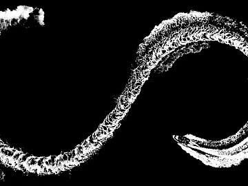 Highlight Mask texture (ID:ffach495518)