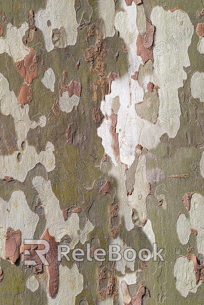 bark texture