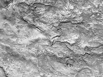 Black and White Bump texture (ID:ffacg57383)