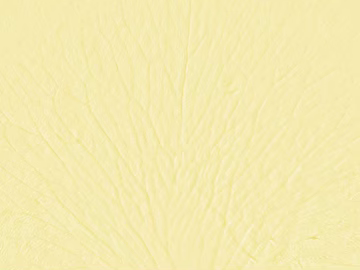 Light yellow texture paint Wall paint (ID:ffaeh114524)