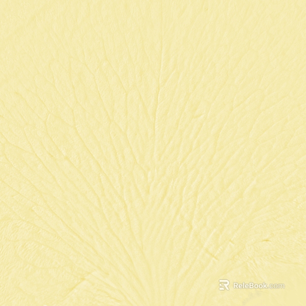 Light yellow texture paint Wall paint texture
