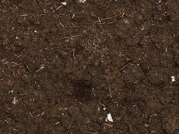 Mud texture (ID:ffaag19006)
