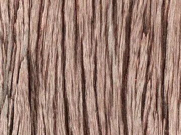 bark texture (ID:ffabg93155)