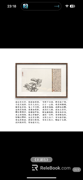 Ink Taihu Stone Study Decorative Painting texture