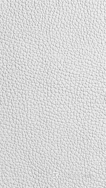 Coarse-grain leather texture