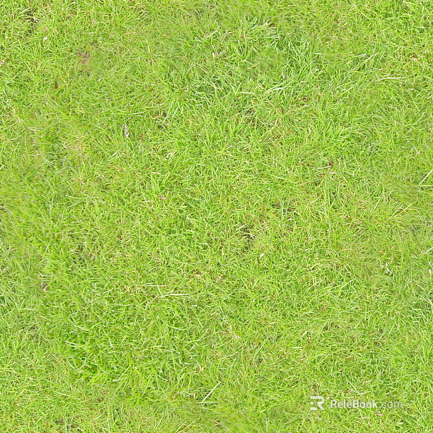 Turf texture