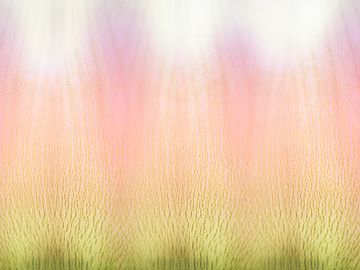 Petals texture (ID:ffacg19262)