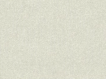 Plain pattern carpet texture (ID:ffacg93423)