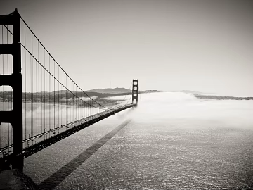 Wild Scenery texture (ID:ffacg22566)