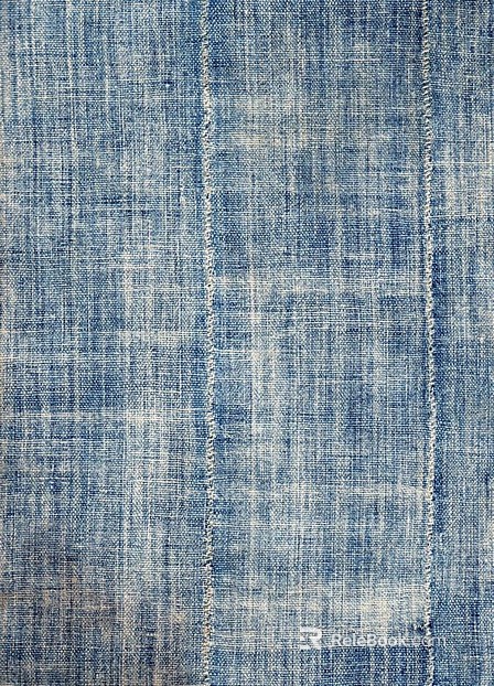 Denim texture