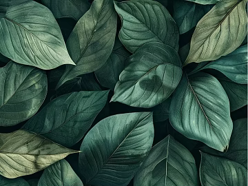 Vintage and Antique Tropical Rainforest Plant Flowers Pastoral Style Wallpaper Wallpaper Wall Cloth texture (ID:ffach288891)