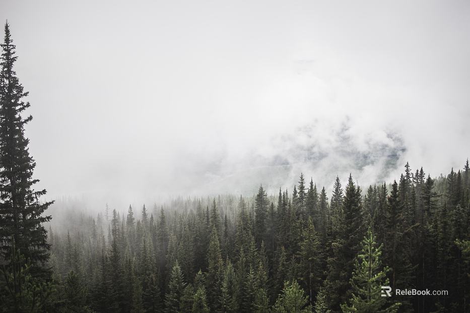 Wild Scenery texture