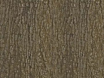 bark texture (ID:ffacg71363)