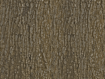 bark texture (ID:ffacg71363)