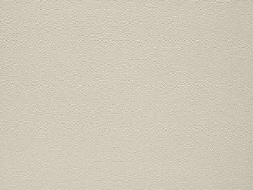 fine grain leather texture (ID:ffajg10623)