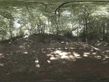 hdr daytime outdoor park shade texture (ID:ffach039158)