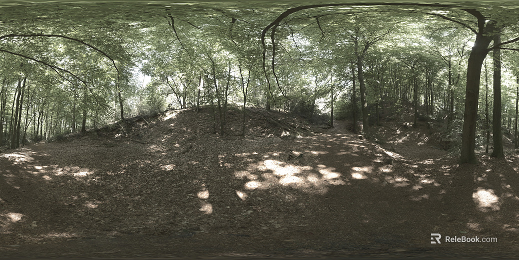 hdr daytime outdoor park shade texture