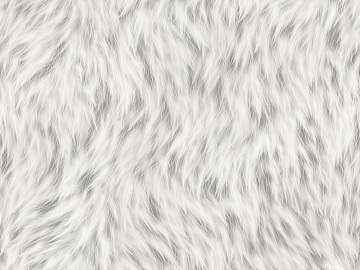 Animal Blanket texture (ID:ffacg49956)