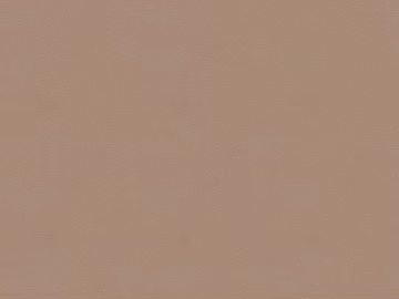 fine grain leather texture (ID:ffajg50403)