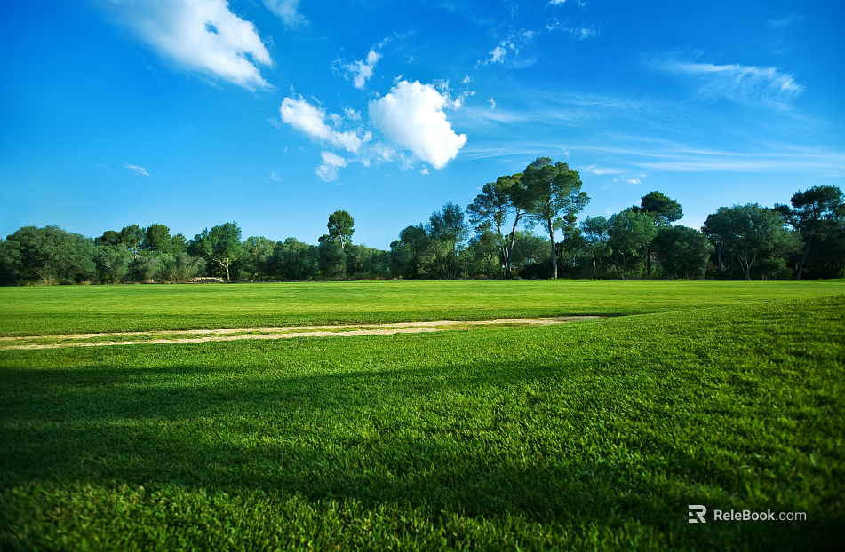 Wild Scenery texture