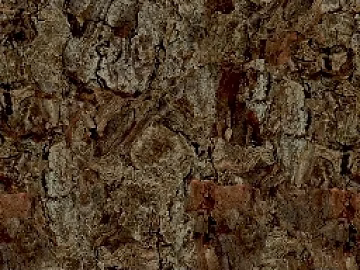 bark texture (ID:ffacg22993)