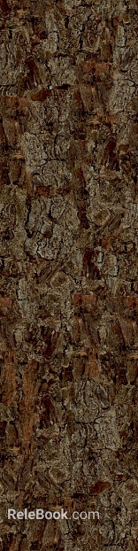 bark texture