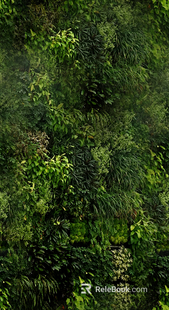 Plants texture