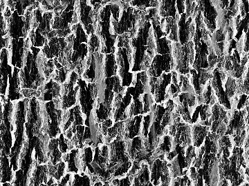 Black and White Bump texture (ID:ffach521104)