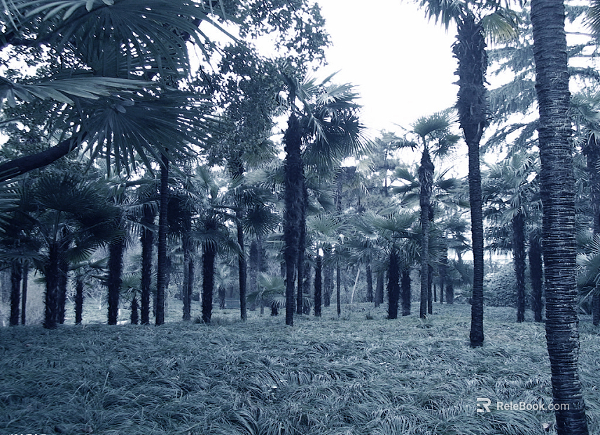 Forest texture
