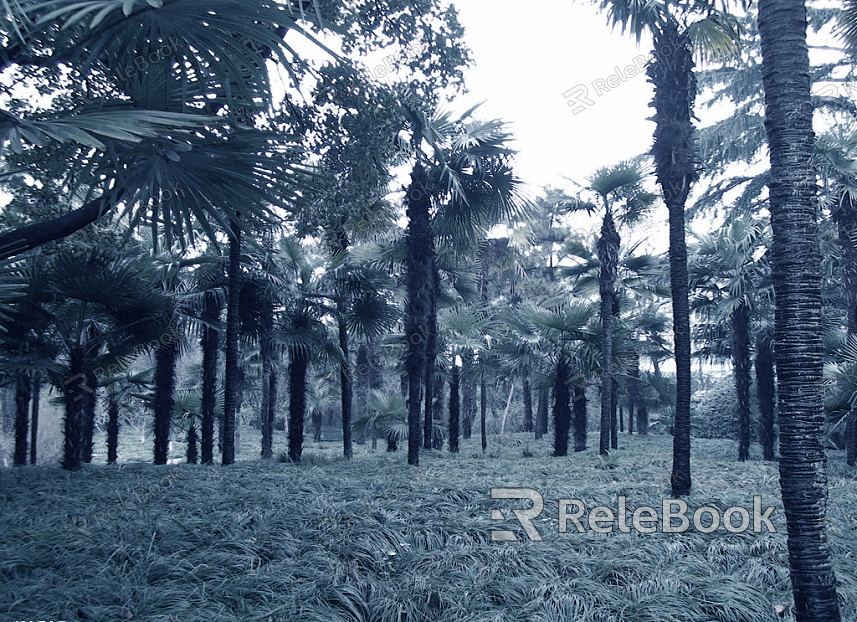 A dense forest under a twilight sky, trees silhouetted against the soft, diffused light, creating a serene and mystical atmosphere. The ground is covered with a thick layer of lush green moss.