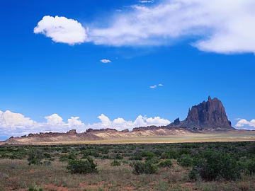 Wild Scenery texture (ID:ffacg52938)