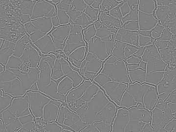 Grey Crack Texture Paint Wall Paint 3d model