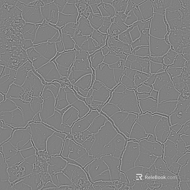 Grey Crack Texture Paint Wall Paint texture