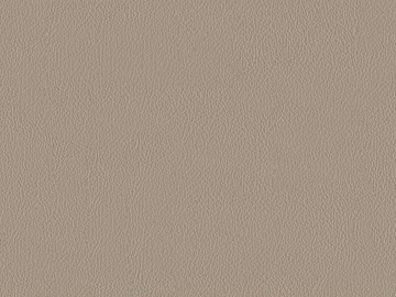 fine grain leather texture (ID:ffach940906)