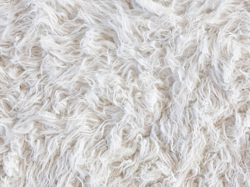 Blanket texture (ID:ffadf9366)