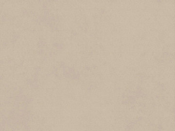 Plain Wallpaper texture (ID:ffagg53358)