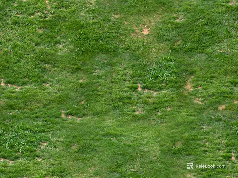 Turf texture