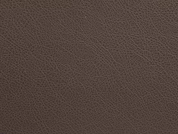 fine grain leather texture (ID:ffajg34227)