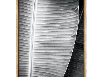 three-dimensional physical painting texture (ID:ffaif6166)