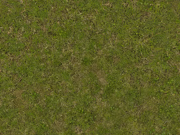 Turf texture (ID:ffajg79055)