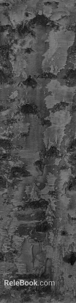 Black and White Bump texture