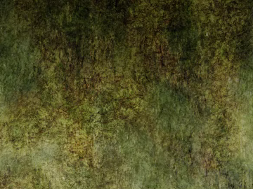 bark texture (ID:ffagg81999)