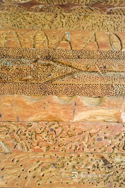 Wooden panel texture