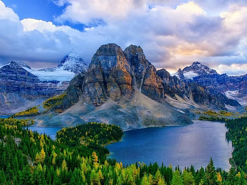 Wild Scenery texture (ID:ffagg84546)