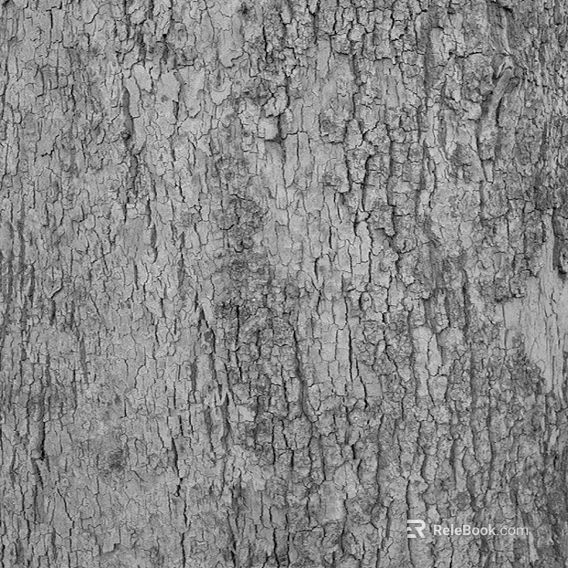 bark texture