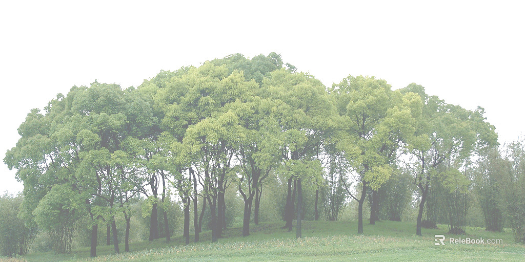 Wild Scenery texture