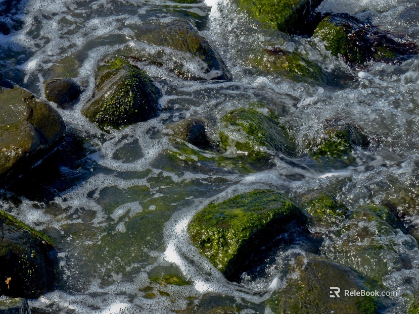 Stone texture